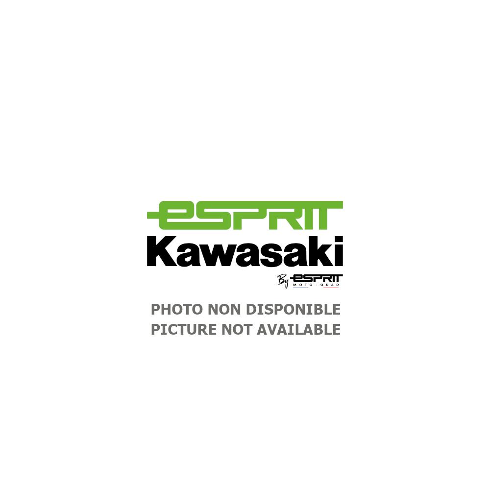 Veste homme kawasaki deals